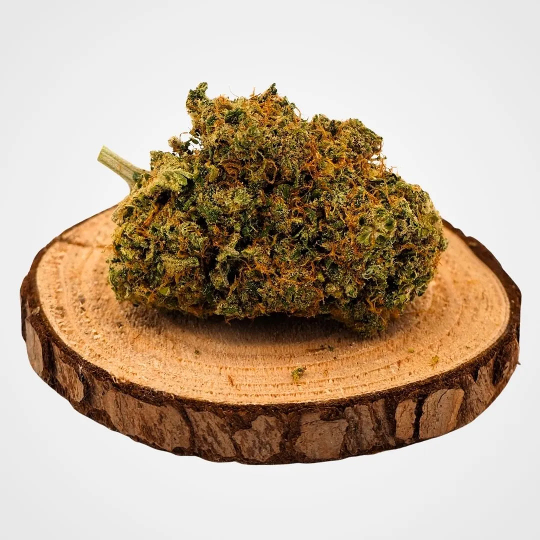 SOUR DIESEL CALI  - HYDROPONIQUE INDOOR | FLEUR DE CBD A INFUSER