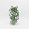 SUCETTE CBD BUBBLEGUM | ORANGE BUD - Dr GREENLOVE - Herbalcura France 
