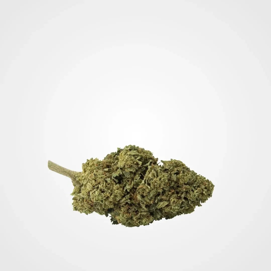 CRITICAL MASS - OUTDOOR  | FLEUR DE CBD A INFUSER