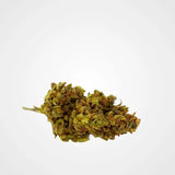 MANGO GREENHOUSE - INDOOR | FLEUR DE CBD A INFUSER