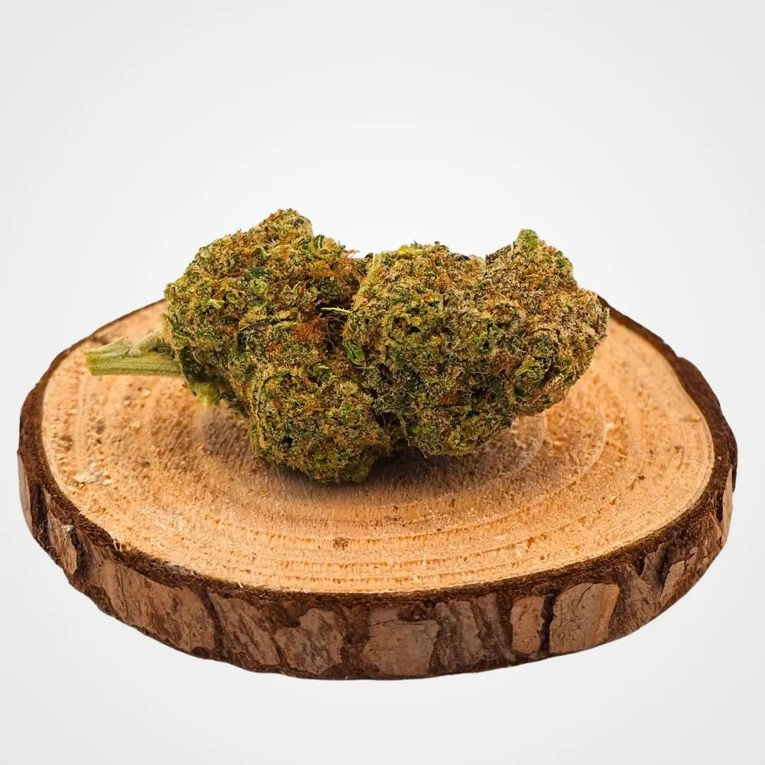 WATERMELON - INDOOR | FLEUR DE CBD A INFUSER