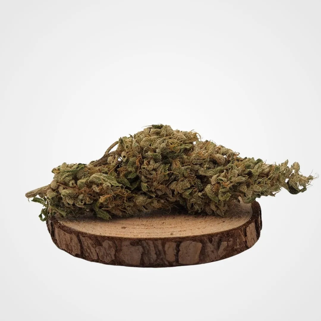 CBG FRUIT CAKE - GREENHOUSE  | FLEUR DE CBG A INFUSER