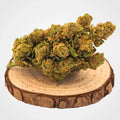 WHITE WIDOW - INDOOR | FLEUR DE CBD A INFUSER
