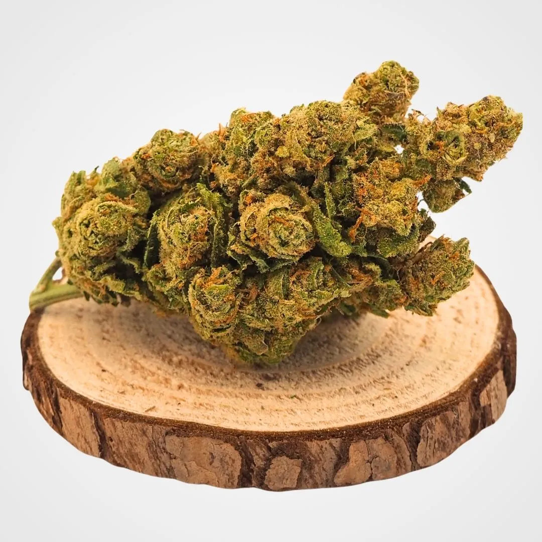 WHITE WIDOW - INDOOR | FLEUR DE CBD A INFUSER