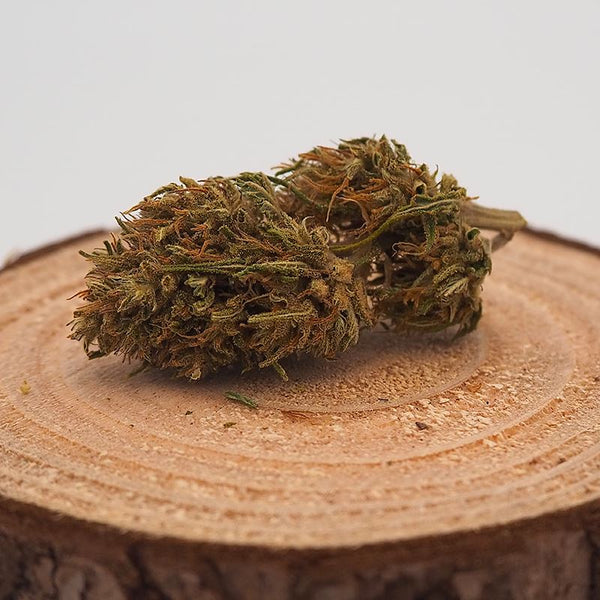 KOMPOLTI - OUTDOOR < 0.3% THC | FLEUR DE CBD À INFUSER Fleurs Herbalcura France 